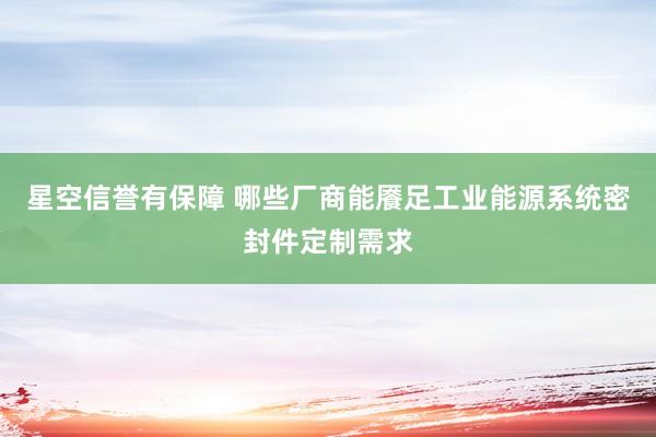 星空信誉有保障 哪些厂商能餍足工业能源系统密封件定制需求