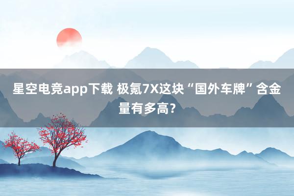星空电竞app下载 极氪7X这块“国外车牌”含金量有多高?
