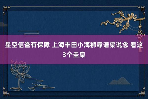 星空信誉有保障 上海丰田小海狮靠谱渠说念 看这3个圭臬