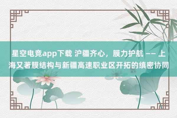 星空电竞app下载 沪疆齐心,膜力护航 —— 上海又著膜结构与新疆高速职业区开拓的缜密协同