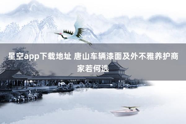 星空app下载地址 唐山车辆漆面及外不雅养护商家若何选