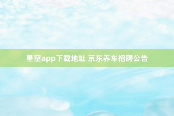 星空app下载地址 京东养车招聘公告