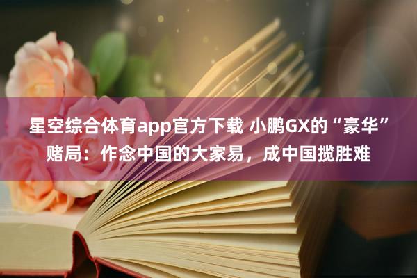 星空综合体育app官方下载 小鹏GX的“豪华”赌局：作念中国的大家易，成中国揽胜难