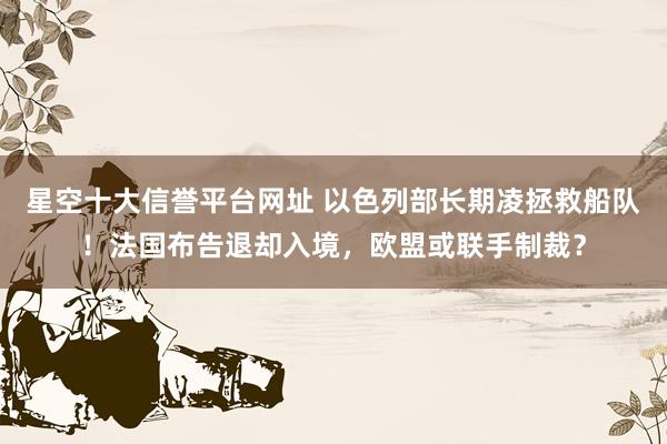 星空十大信誉平台网址 以色列部长期凌拯救船队!法国布告退却入境,欧盟或联手制裁?