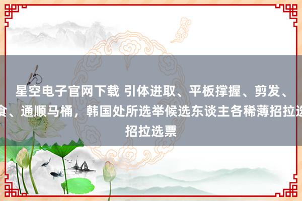 星空电子官网下载 引体进取、平板撑握、剪发、绝食、通顺马桶，韩国处所选举候选东谈主各稀薄招拉选票