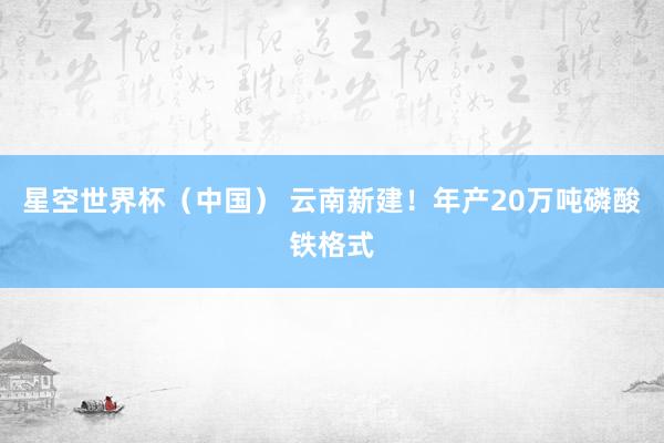 星空世界杯(中国) 云南新建!年产20万吨磷酸铁格式