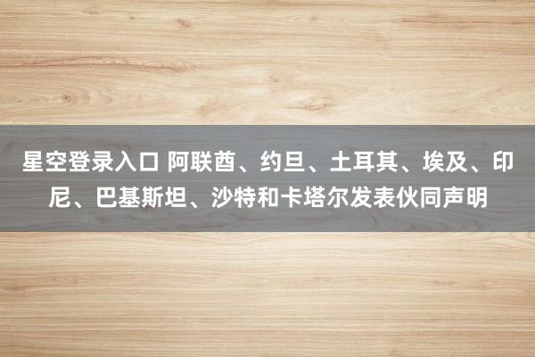 星空登录入口 阿联酋、约旦、土耳其、埃及、印尼、巴基斯坦、沙特和卡塔尔发表伙同声明