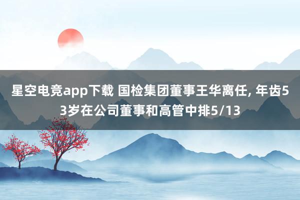 星空电竞app下载 国检集团董事王华离任, 年齿53岁在公司董事和高管中排5/13
