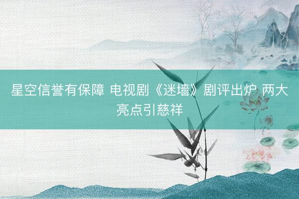 星空信誉有保障 电视剧《迷墙》剧评出炉 两大亮点引慈祥