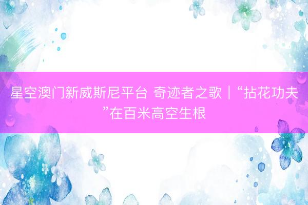 星空澳门新威斯尼平台 奇迹者之歌|“拈花功夫”在百米高空生根
