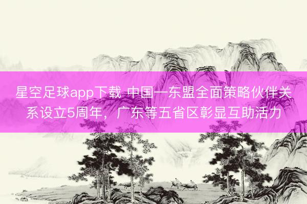 星空足球app下载 中国—东盟全面策略伙伴关系设立5周年,广东等五省区彰显互助活力