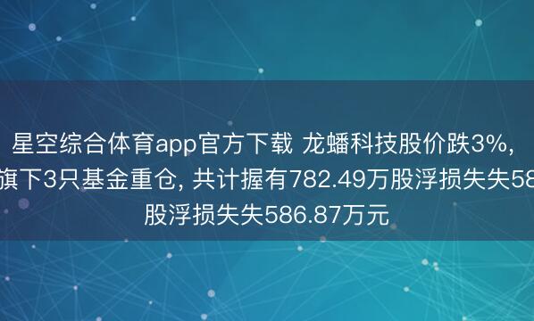 星空综合体育app官方下载 龙蟠科技股价跌3%, 广发基金旗下3只基金重仓, 共计握有782.49万股浮损失失586.87万元